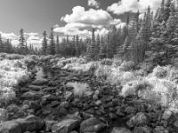 Parc national de la Gaspésie